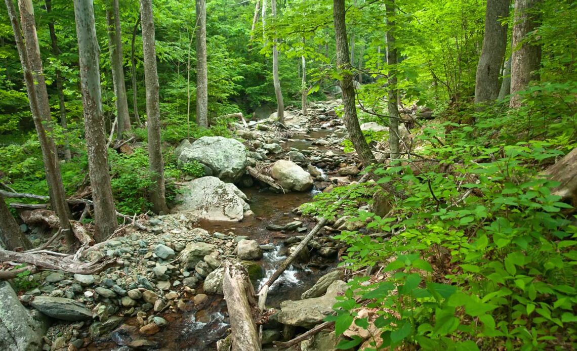 Hikes in shenandoah National Park Mill Prong Trail