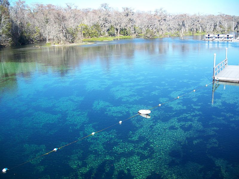 Wakulla Springs