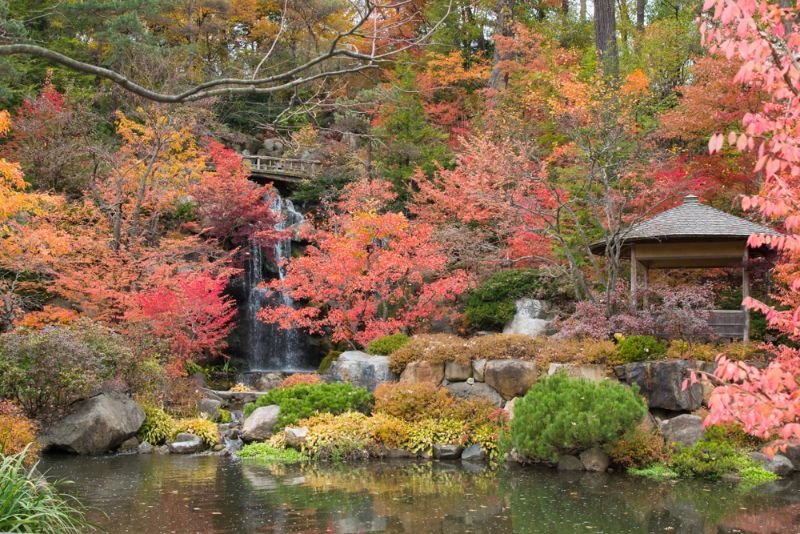 Anderson Japanese Gardens, Rockford Illinois