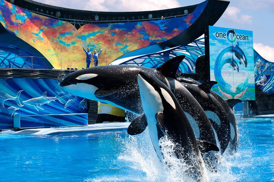 SeaWorld Orlando