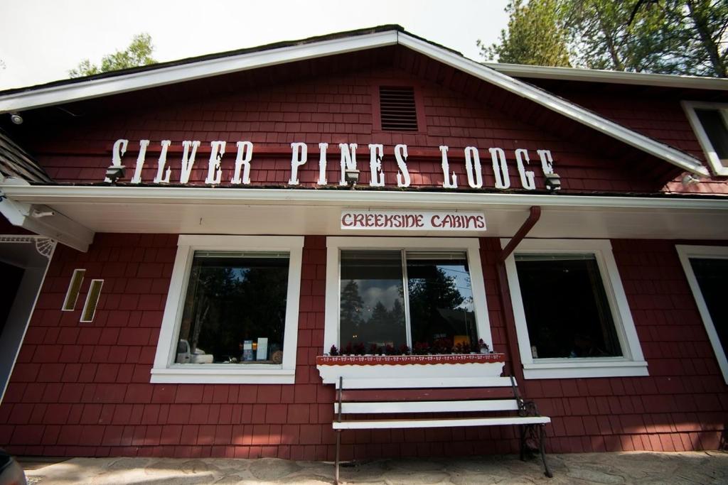 silver pines lodge