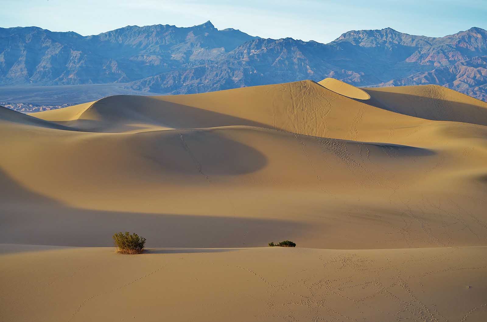 things to do in Death Valley Mesquite Flats