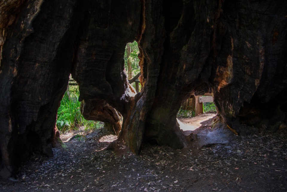 Angel's Window Arch In Kentucky