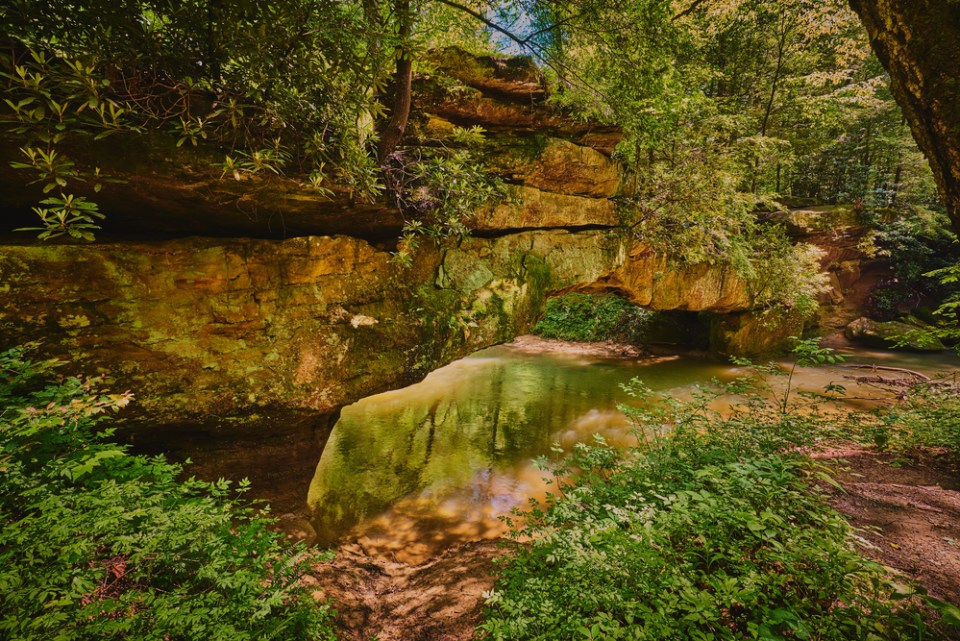 Rock Bridge, Red River Gorge KY