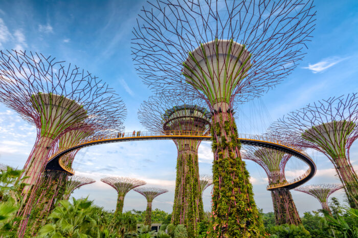 SG Gardens by the Bay photo via KLOOK