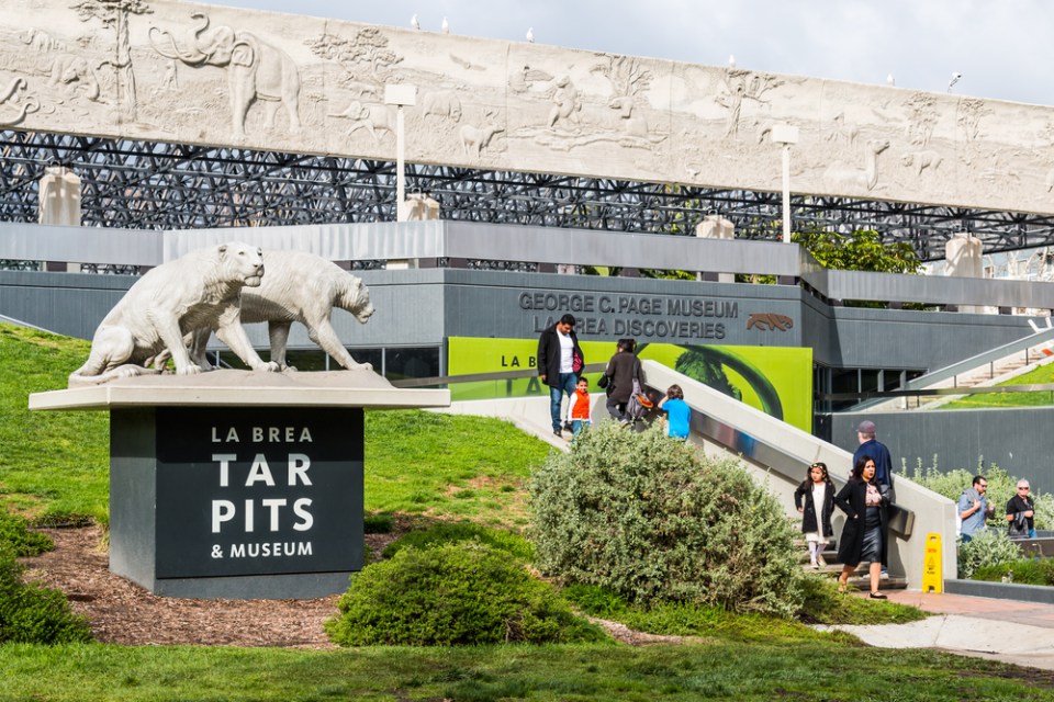 Saber Tooth Tigers Near Entrance of La Brea Tar Pits