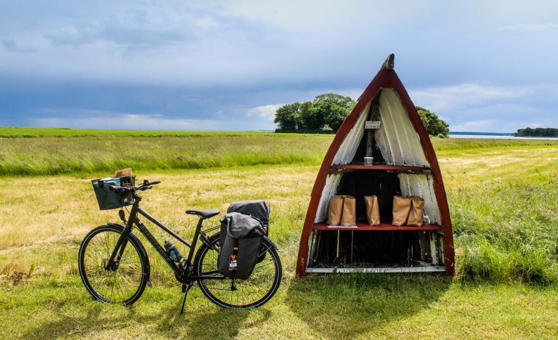 Wild rabbits, stone age settlements and fjord swimming: Exploring Denmark’s coastal lands by bike and ferry