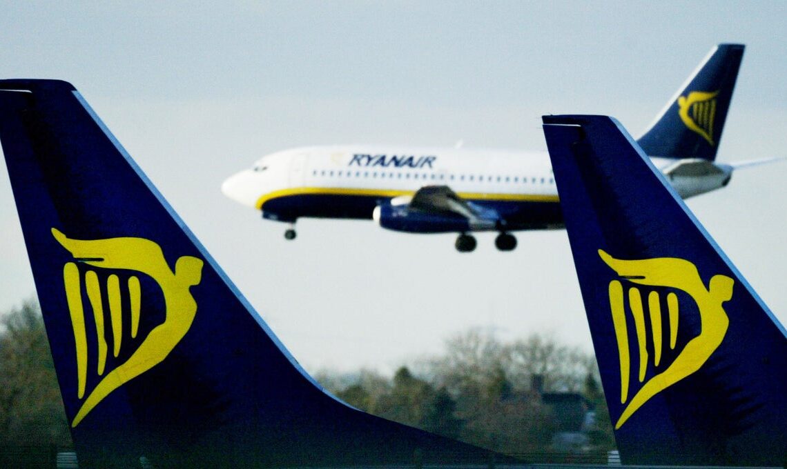 ‘Disgusting and tepid’: Ryanair passenger slams ‘saddest’ lasagne served on budget flight