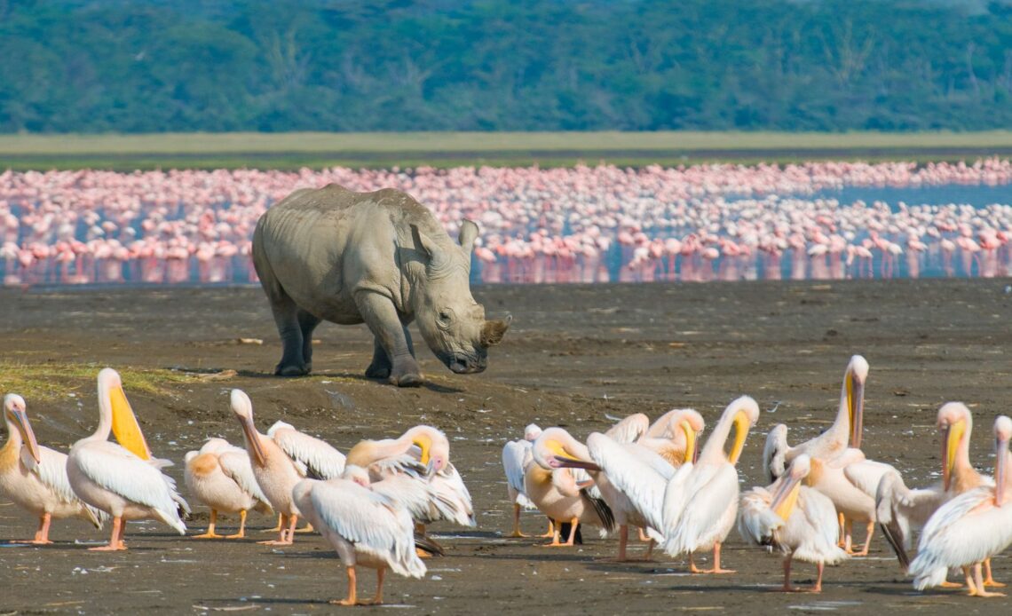 10 Best Things To Do in Nakuru, Kenya