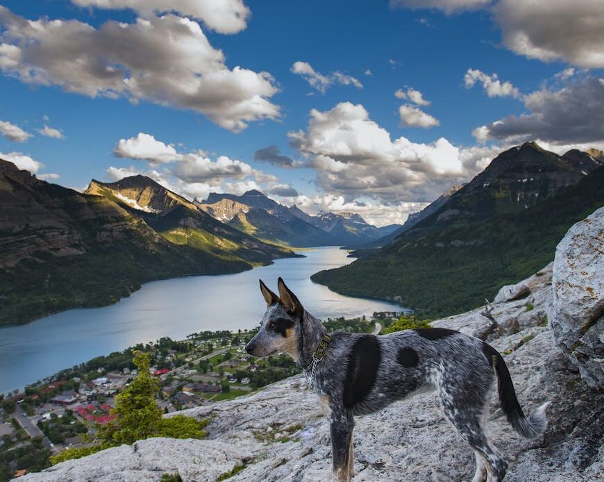 Waterton National Park, Canada