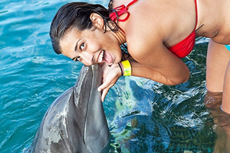 15 Best All-Inclusive Family Resorts in Jamaica 1 Dolphin Cove Lucea Tour