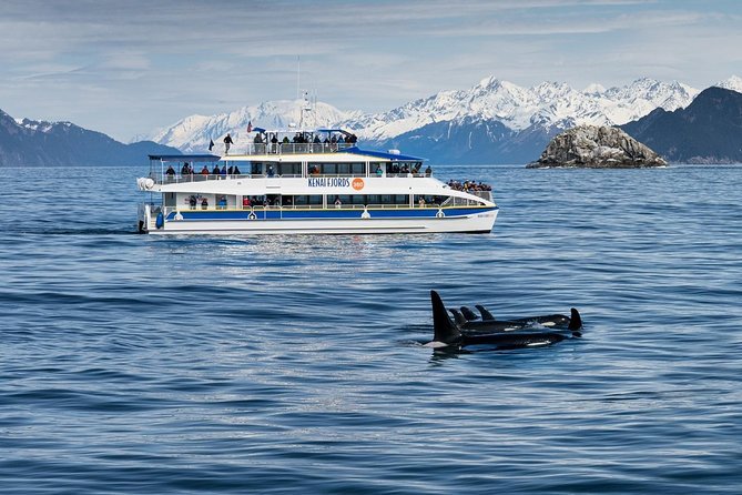 Kenai Fjords National Park Glacier Wildlife Cruise