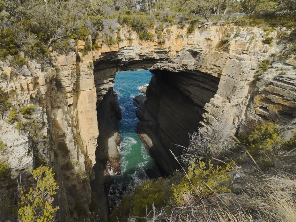 tasman arch 