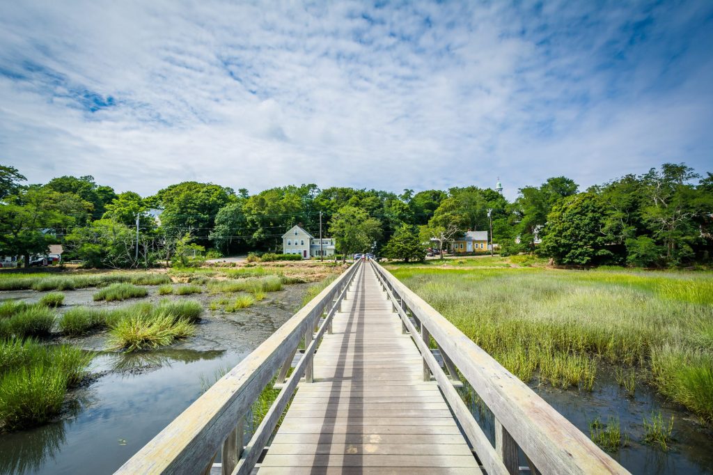 A wooden pathway leading through a marshy area to houses in the distances.