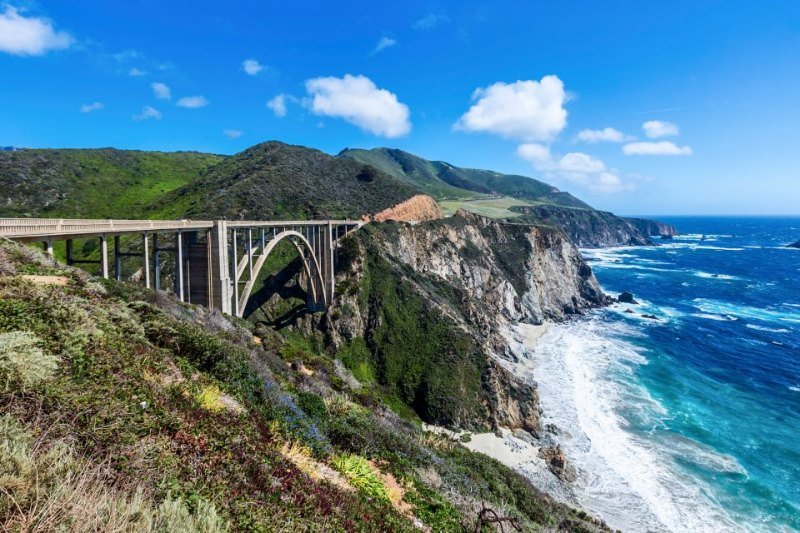 Big Sur Guided Half Day Tour