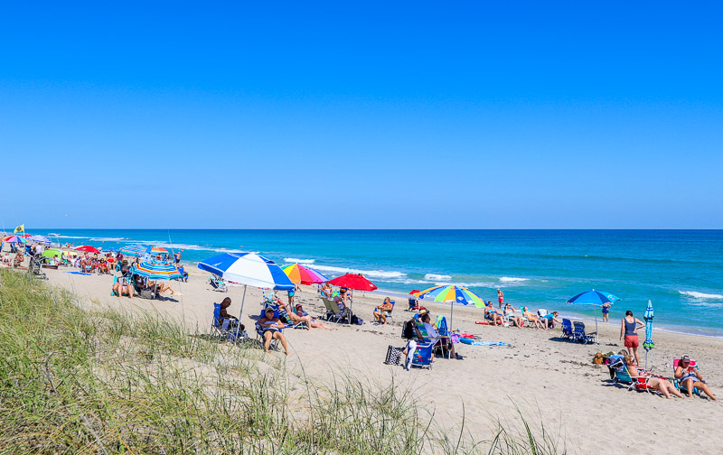 people sitting on the beach