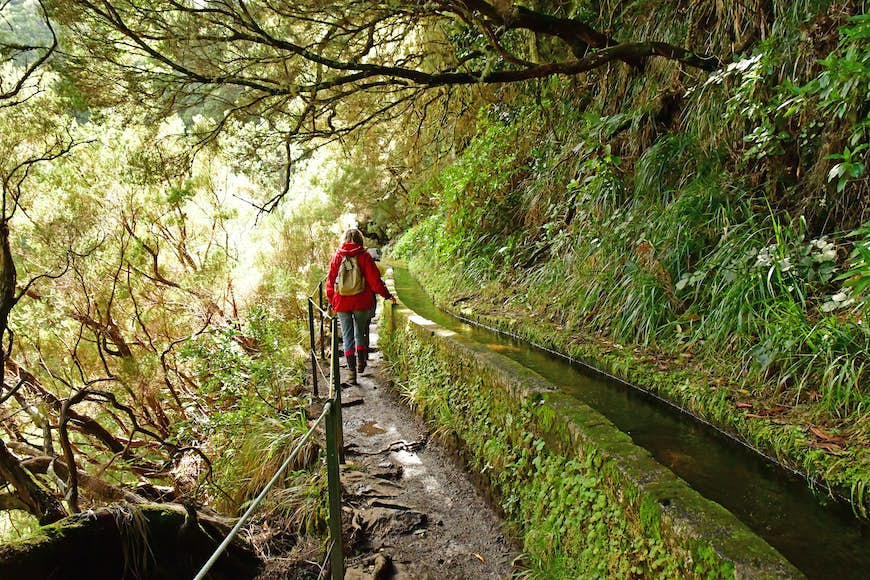 A person walks aside an irrigation canal in a lush green landscape.