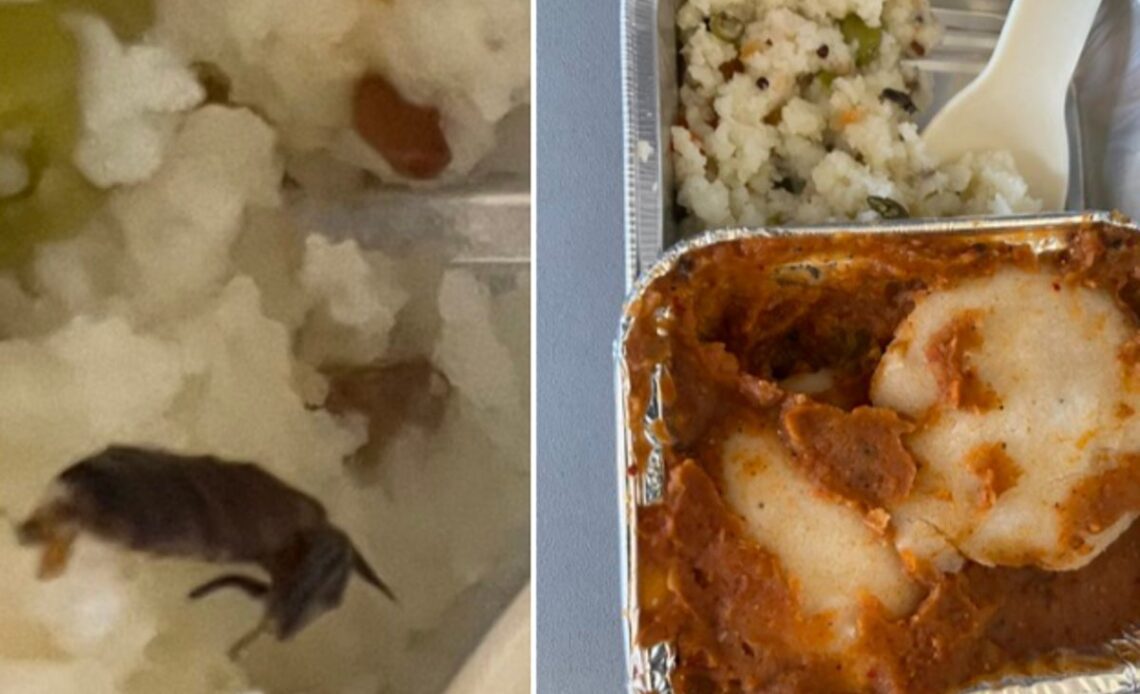 Airline claims ‘cockroach’ found in inflight meal was actually ‘sauteed ginger’