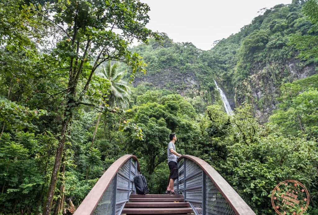 Overlooking bridge towards waterfall during a trip to Tahiti