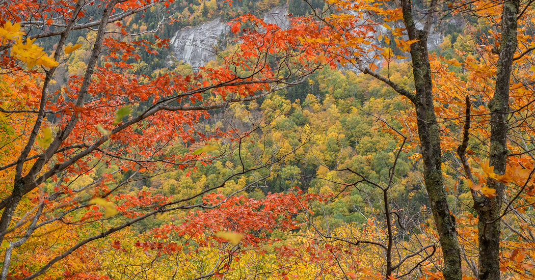 How to Time Your Leaf-Peeping Trip This Fall