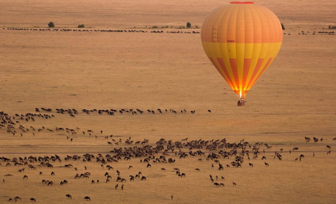 Kenya uncovered: discover this ultimate bucket-list destination