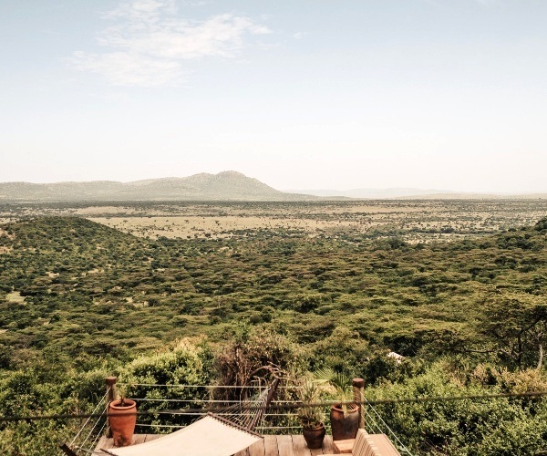 The timeless glamour of an African safari