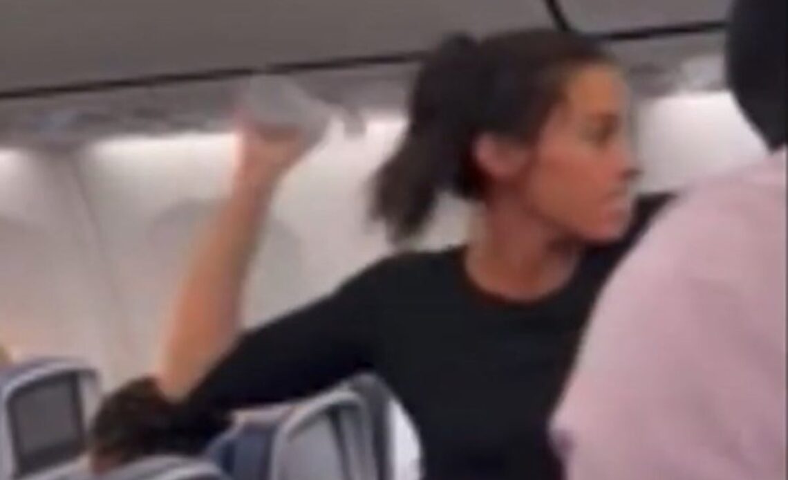 Woman’s meltdown on plane goes viral after she’s told dog cannot sit on lap