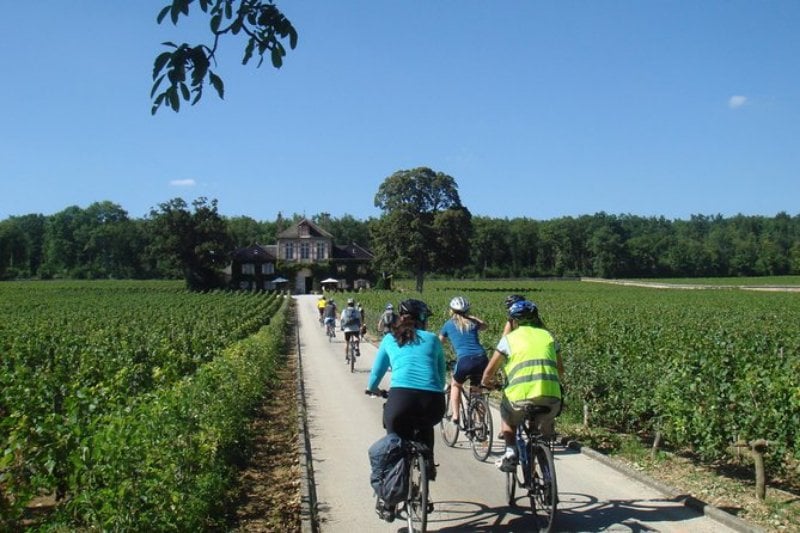 Burgundy Bike Tour with Wine Tasting from Beaune