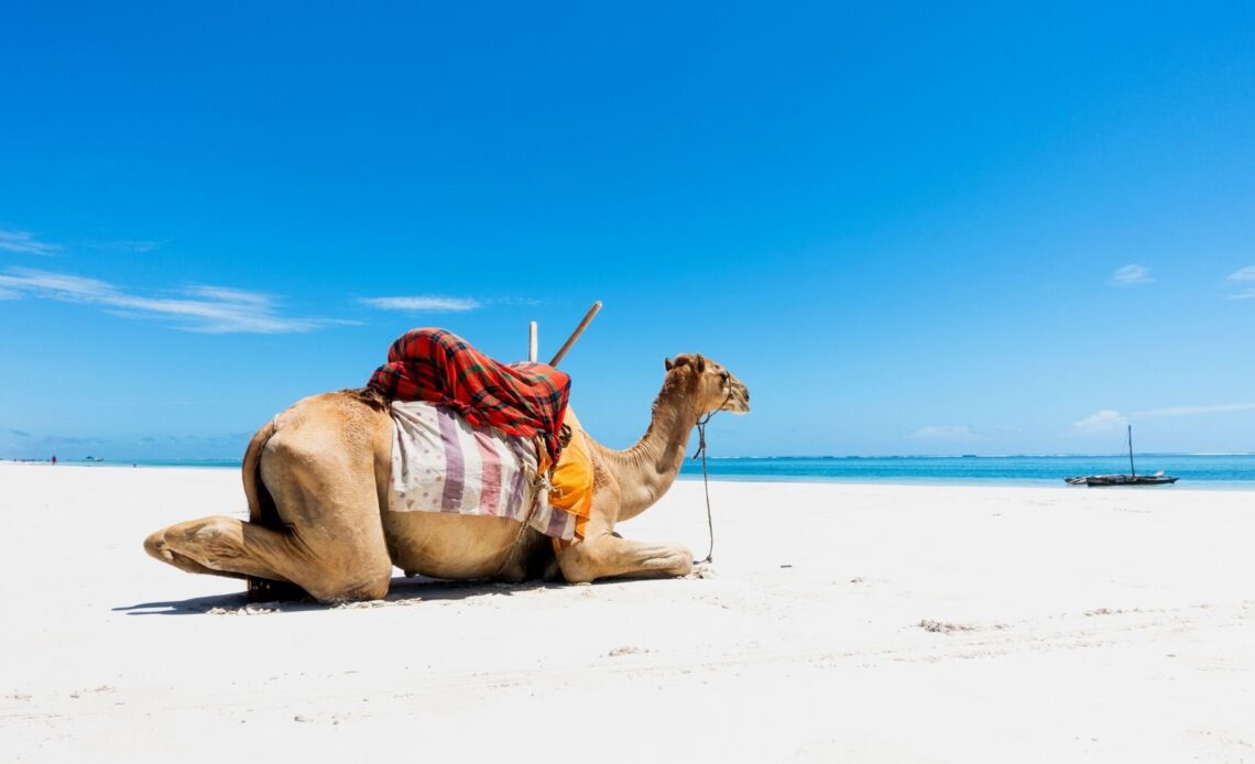 15 Best Things To Do in Diani, Kenya