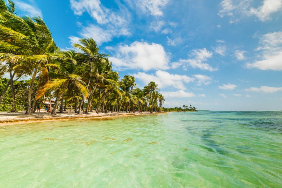 Bois Jolan beach in Guadeloupe island