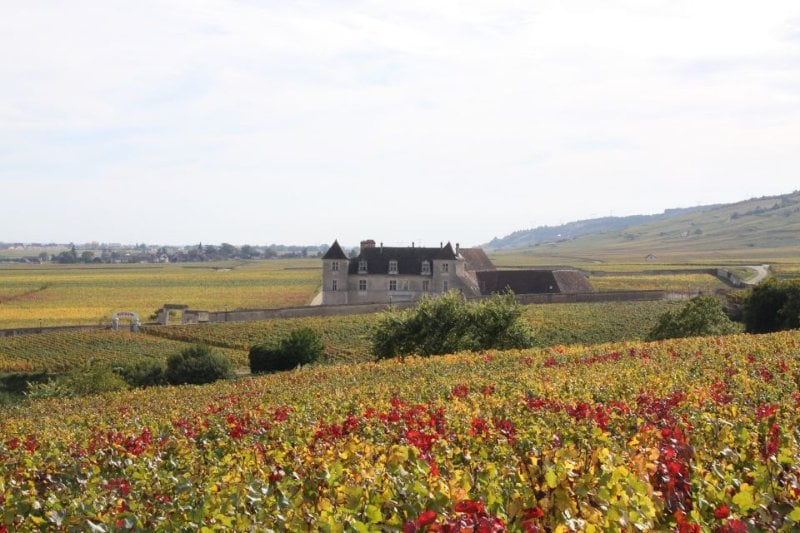 Burgundy 10 Wines Grand Cru Tasting Day Trip From Beaune