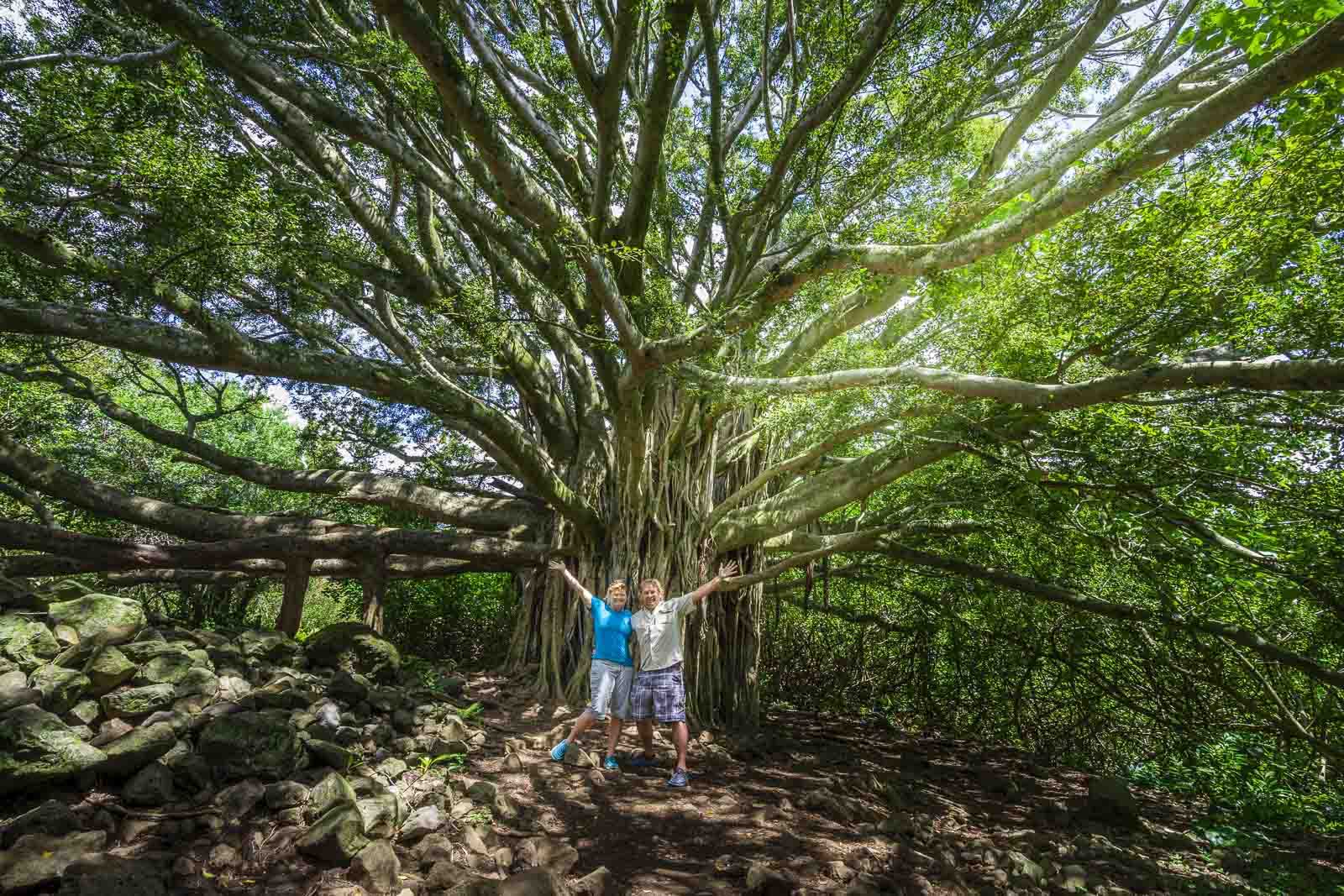 best things to do in maui dave and deb hiking