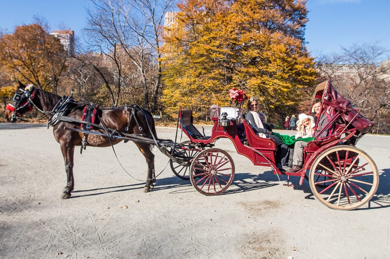 family in horse and carriage ride in Central Park