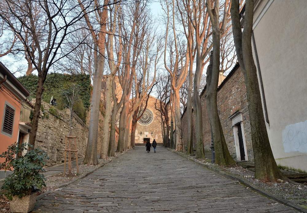 A peaceful neighborhood in Bari's Città Vecchia.