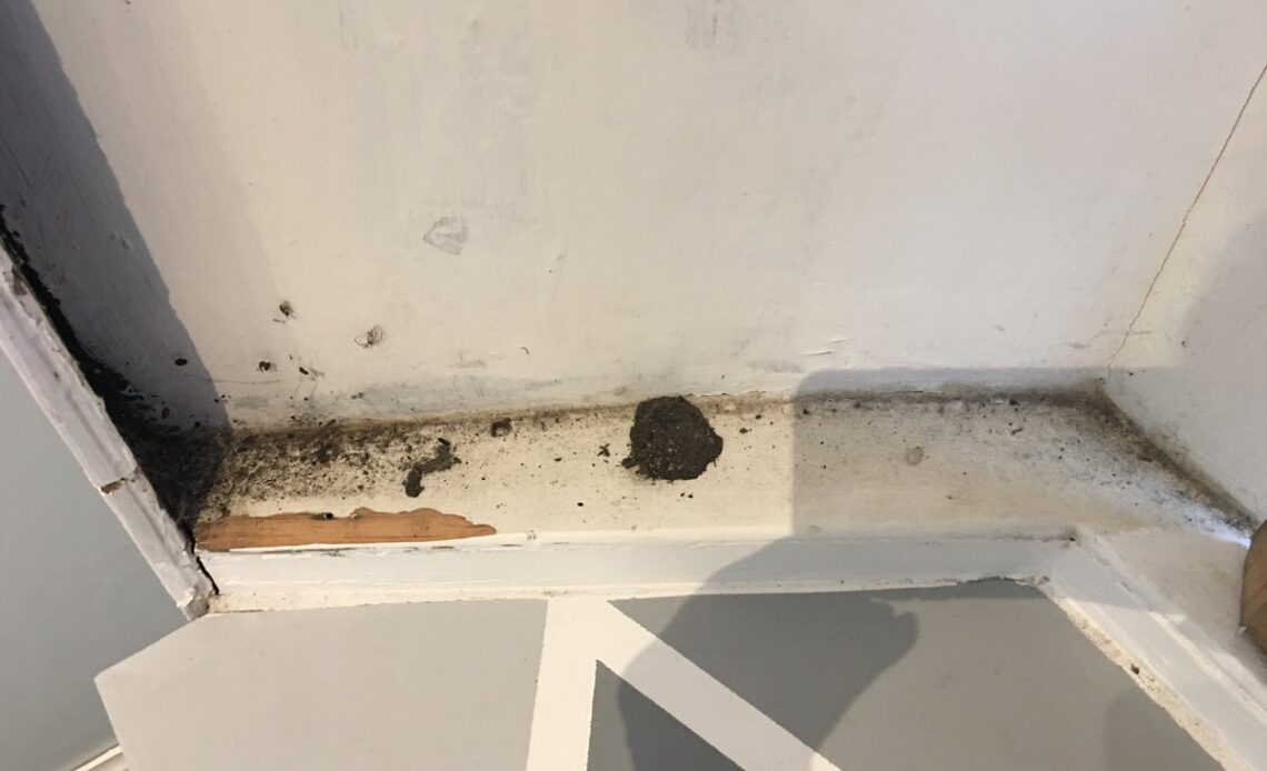 Airbnb guest shocked after paying £2,750 to stay at ‘shabby and dirty’ Edinburgh flat
