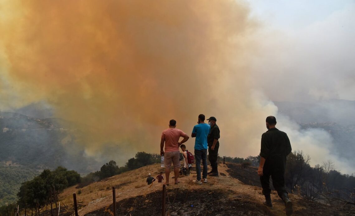 Almost 50 people sentenced to death over lynching of Algerian man wrongly accused of starting wildfires