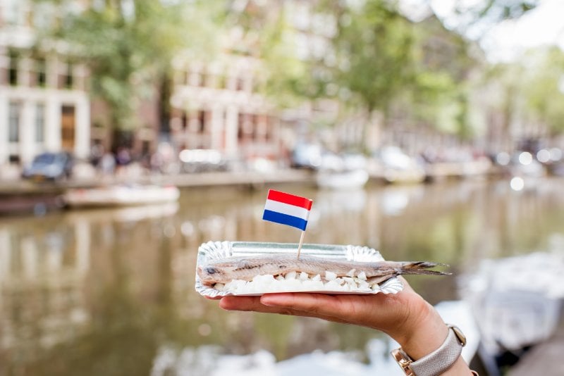 10 Best Food Tours in Amsterdam