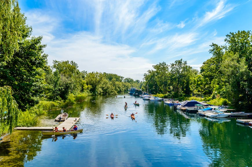 Kayakers in the water between leafy coasts