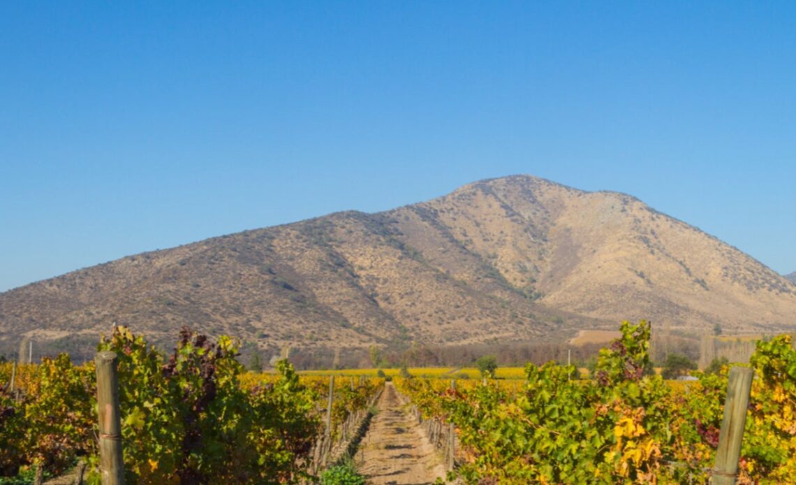 How to do a sustainable wine tour of Chile