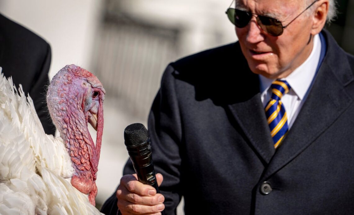 Like a Thanksgiving Turkey, Joe Biden was ‘pardoned’ by the midterms