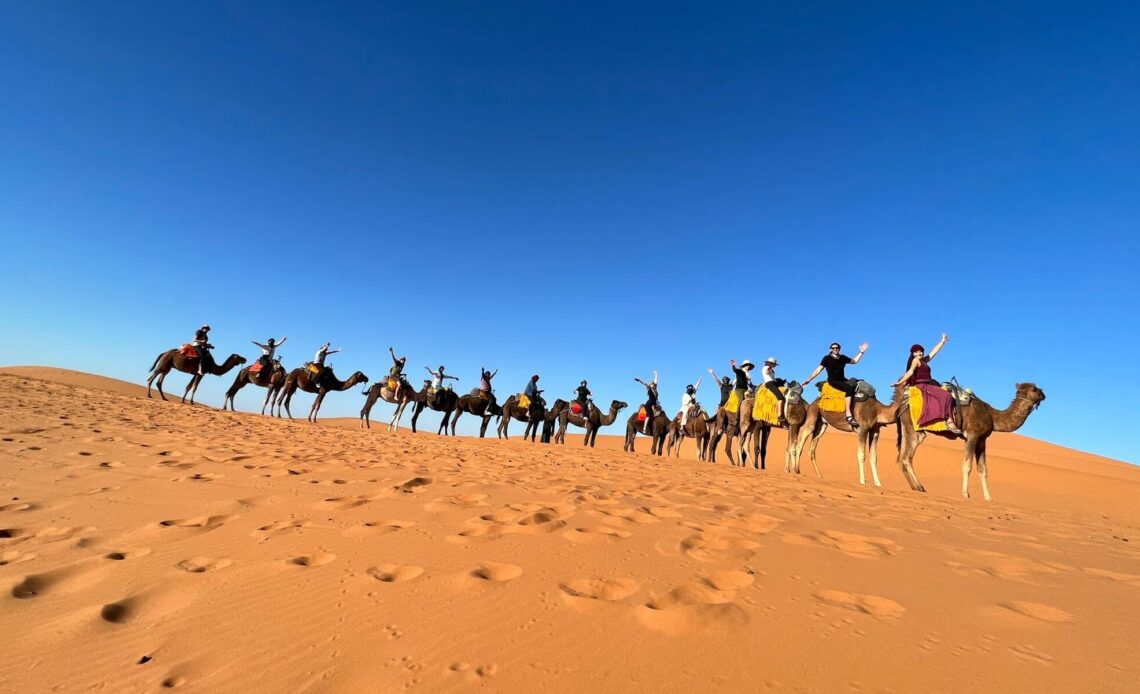 Nomadic Network tour participants on camels in Morocco
