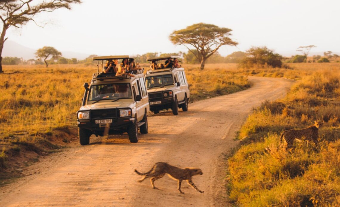 Tanzania travel guide: Everything you need to know