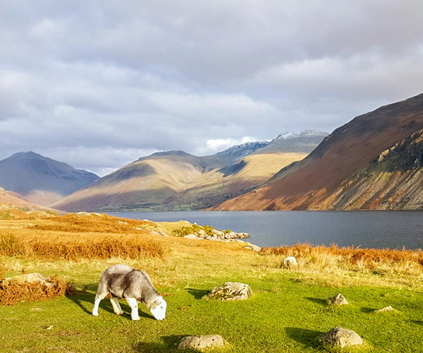 Lake District Fells and Mountains - Wastwater