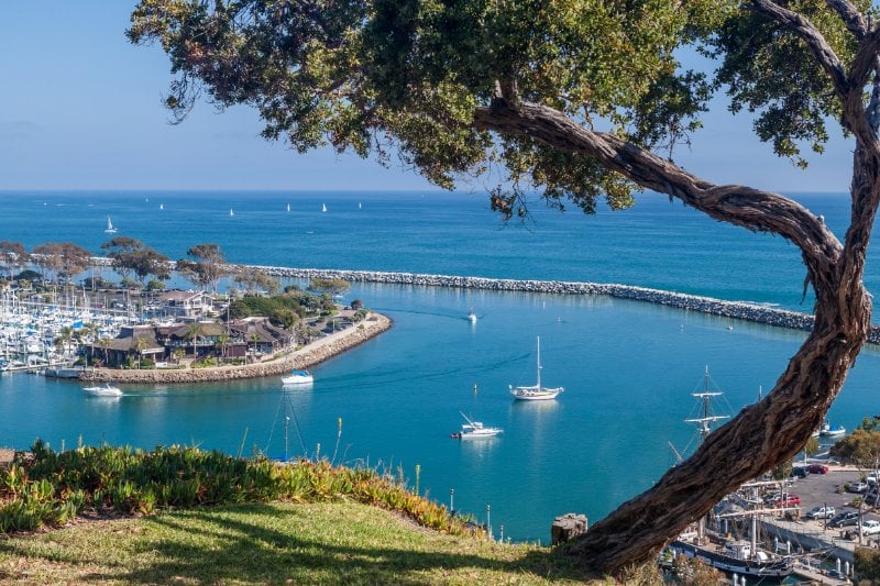 12 Best Restaurants in Dana Point, California