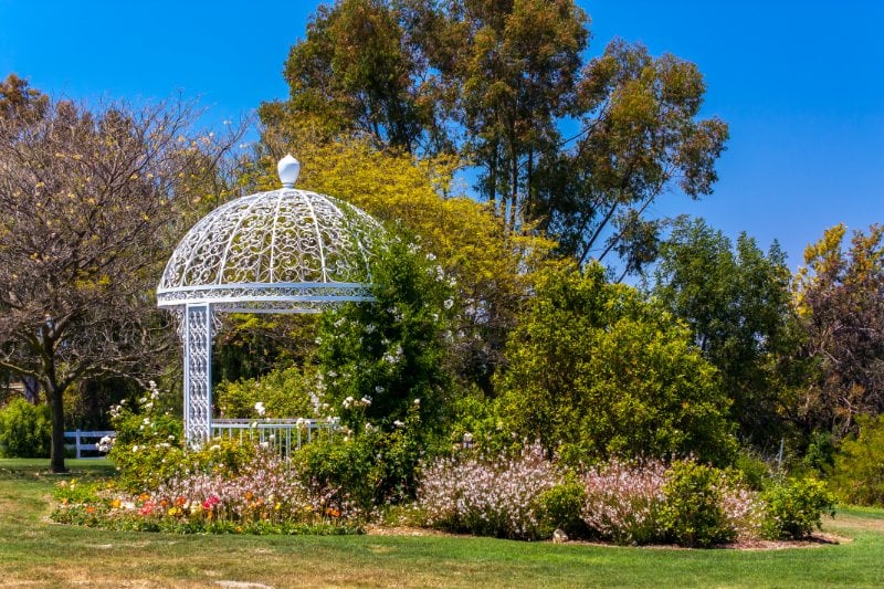 South Coast Botanic Garden