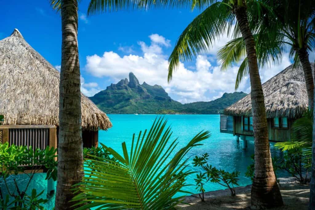 St Regis Bora Bora palm trees looking off villa patio 