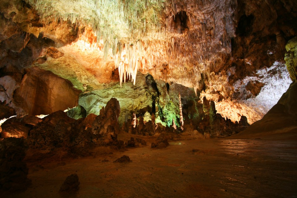 A Flowstone and 'Lily Pads' in Carlsbad Caverns National Park, New Mexico