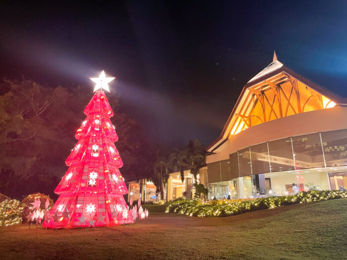 They also have an outdoor Christmas tree perfect for family photos