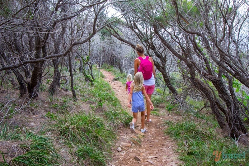 people walking through a forest trail