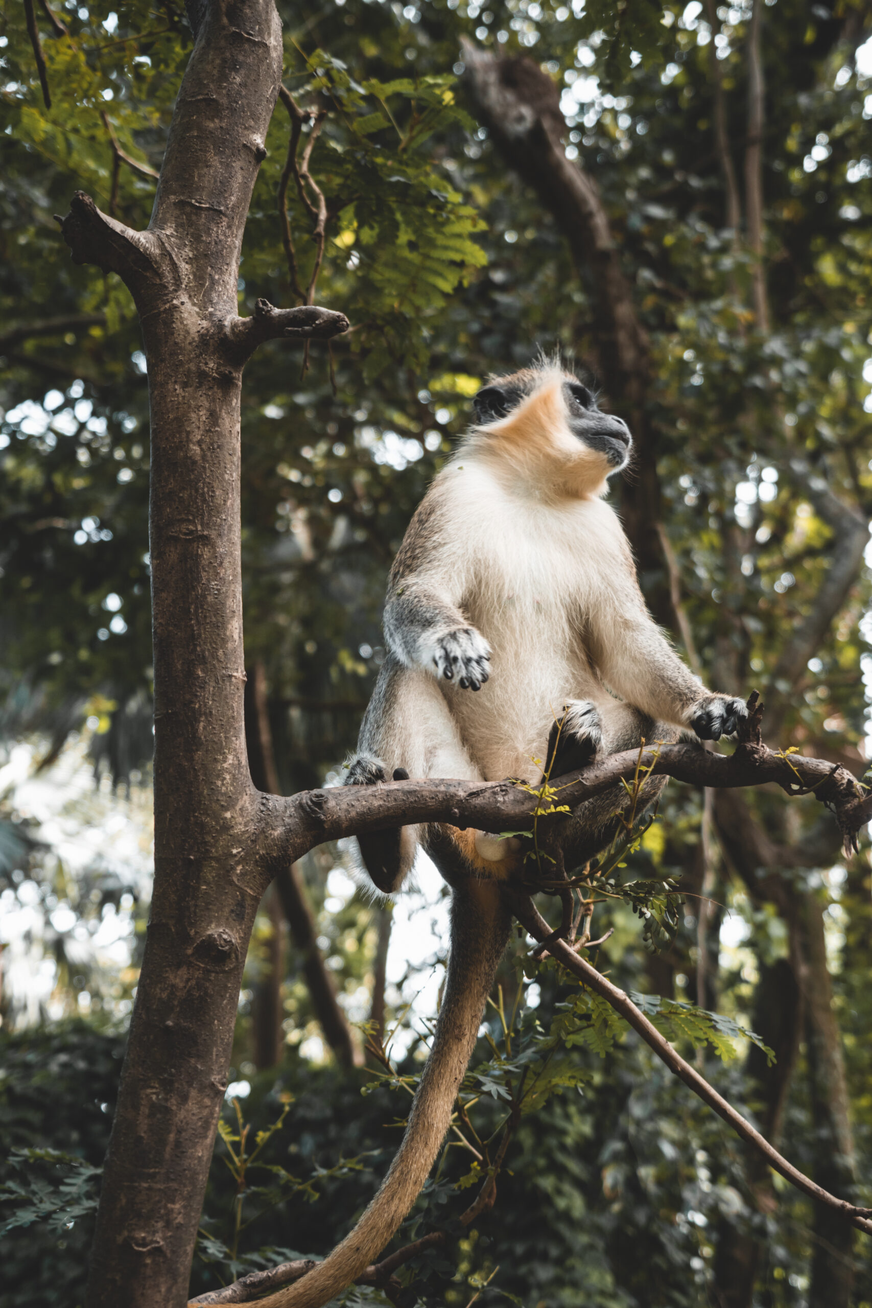 8 Best Things To Do in The Gambia, West Africa